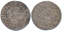 Preussen, Herzogtum (Ostpreussen) Groschen Albrecht von Brandenburg 1525-1568