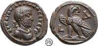Gallienus (253-268) Billon-Tetradrachme Alexandria (Aegyptus), Büste / Adler mit Kranz, attraktives Exemplar, -