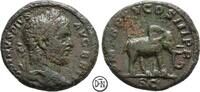 Caracalla (198/211-217) As Roma, Kopf / Elefant, selten, -