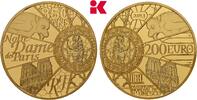 FRANKREICH 200 Euro 2013. Auflage: 500 Exemplare. 5. Republik seit 1958.... 4495,00 EUR kostenloser Versand