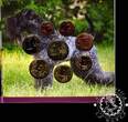 IRELAND EURO COIN SET IRELAND 2012 Perro BU