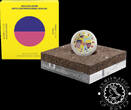 Portugal 2022 10 EURO PROOF Case – AKACORLEONE