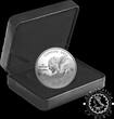 Canada 30 DOLLARS 2024 2024 - 30 DOLLAR PROOF - Weather Watch - Bison