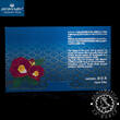 Japan 2025 Yen Annual Set – Official Mint Set – Snake – BU