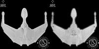 Niue 5 DOLLARS – 5 DOLLARS – STAR TREK – Klingon Bird of Prey – AGORO – -