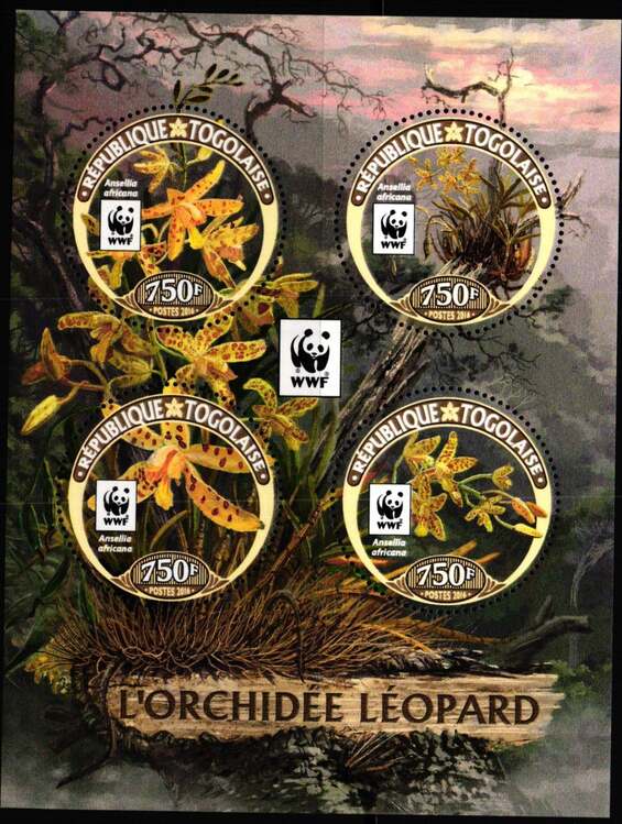 Briefmarken-Kleinbogen Togo 2016 – Prähistorische Wassertiere, Komplett Postfrisch MNH