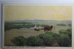 AK Arizona Afterglow (From a Painting by F. Lungren) ungebraucht -
