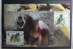 Kamerun Kamerun 1155-1158 gestempelt als FDC MiNr. 1155-1158 gestempelt als FDC -
