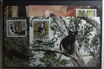 Madagaskar Madagaskar 1110-1113 gestempelt als FDC MiNr. 1110-1113 gestempelt als FDC -