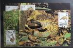 Gambia Gambia 1550-1554 gestempelt als FDC MiNr. 1550-1554 gestempelt als FDC -