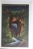 AK Virginia Natural Bridge ungebraucht -