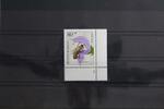 BRD BRD 1204 postfrisch als Eckrand mit Formnummer 1 MiNr. 1204 postfrisch als Eckrand mit Formnummer 1 -