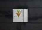 BRD BRD 1225 postfrisch als Eckrand mit Formnummer 1 MiNr. 1225 postfrisch als Eckrand mit Formnummer 1 -
