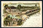 AK Weisse Taube, Brünninghausen Restaurat mit Garten und Festwiese 1900 gebraucht -