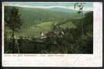 AK Bad Walkmühle/Eisenberg Saale-Holzland-Kreis Blick ins Tal 30.07.1901 gebraucht -
