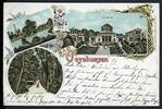 AK Bad Oeynhausen Kreis Minden-Lübbecke Themalbad, Goldfischteich 1900 gebraucht -