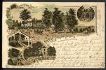 AK Emmerich Polderbusch mit Veranda und Spielplatz 1898 gebraucht -