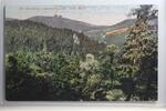 AK Thüringer Wald Der Inselfels v. Aschenbergfels 1924 gebraucht -