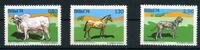 Brasilien Brasilien 1459-1461 postfrisch Haustiere MiNr. 1459-1461 postfrisch Haustiere -
