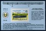 Paraguay Paraguay Block 463 postfrisch Zeppelin MiNr. Block 463 postfrisch Zeppelin -