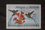 Antigua und Barbuda Antigua und Barbuda Block 238 mit 1663 postfrisch MiNr. Block 238 mit 1663 postfrisch -