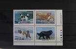 Kanada Kanada 1097-1100 postfrisch als Viererblock MiNr. 1097-1100 postfrisch als Viererblock -
