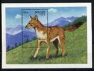 Bhutan Bhutan Block 282 postfrisch Wildhunde MiNr. Block 282 postfrisch Wildhunde -