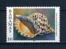 Bahamas Bahamas 914 I postfrisch Muscheln/ Schnecken MiNr. 914 I postfrisch Muscheln/ Schnecken -