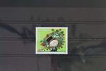 Österreich Österreich 2444 postfrisch MiNr. 2444 postfrisch -