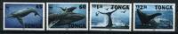 Tonga Tonga 1400-1403 postfrisch Wale WWF MiNr. 1400-1403 postfrisch Wale WWF -