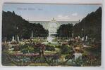 AK Köln am Rhein Flora 1913 gebraucht -
