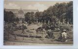 AK Köln a. Rh. Flora Palmenhaus ungebraucht -
