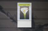 Österreich Österreich 2305 postfrisch MiNr. 2305 postfrisch -