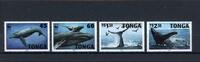 Tonga Tonga 1400-1403 postfrisch Wale MiNr. 1400-1403 postfrisch Wale -