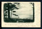 AK Riga - Lettland Strandidylle 1900 gebraucht -