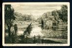 AK Münster/ Westfalen Botanischer Garten mit Blick aufs Schloß 1915 gebraucht -