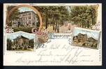 AK Lippspringe - Kreis Paderborn Hotel Garbe, Waldecke, Kurhaus 1898 gebraucht -