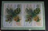 Russland Russland 2150-2153 postfrisch Folienblatt MiNr. 2150-2153 postfrisch Folienblatt -