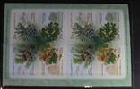 Russland Russland 2150-2153 postfrisch Folienblatt MiNr. 2150-2153 postfrisch Folienblatt -