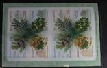 Russland Russland 2150-2153 postfrisch Folienblatt MiNr. 2150-2153 postfrisch Folienblatt -