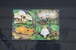 Palau Palau 269-272 postfrisch MiNr. 269-272 postfrisch -