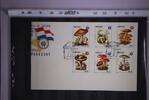 Paraguay Paraguay 3835-3841 gestempelt als FDC MiNr. 3835-3841 gestempelt als FDC -