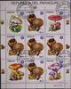 Paraguay Kleinbogen Paraguay Kleinbogen 3841 gestempelt Pilze MiNr. 3841 gestempelt Pilze -