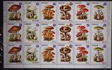 Paraguay 5xSechserstreifen Paraguay 5xSechserstreifen 3835-3841 postfrisch Pilze MiNr. 3835-3841 postfrisch Pilze -