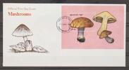 Bhutan Bhutan Block 196 gestempelt als FDC / Pilze MiNr. Block 196 gestempelt als FDC / Pilze -