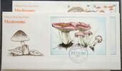 Turks und Caicos Inseln Turks und Caicos Inseln 1155-1162, Block 136-137 gestempelt als FDC MiNr. 1155-1162, Block 136-137 gestempelt als FDC -