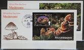 Turks und Caicos Inseln Turks und Caicos Inseln Block 192 und 193 gestempelt als FDC / Pilze MiNr. Block 192 und 193 gestempelt als FDC / Pilze -