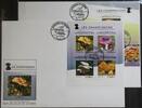 Guinea Guinea 10662-10665 und Block 2428 gestempelt Kleinbogen / als FDC MiNr. 10662-10665 und Block 2428 gestempelt Kleinbogen / als F -