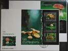 Guinea Guinea 10251-10253 und Block 2338 gestempelt Kleinbogen / als FDC MiNr. 10251-10253 und Block 2338 gestempelt Kleinbogen / als F -