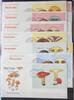 Bhutan Bhutan Block 189-200 gestempelt als FDC / Pilze MiNr. Block 189-200 gestempelt als FDC / Pilze -
